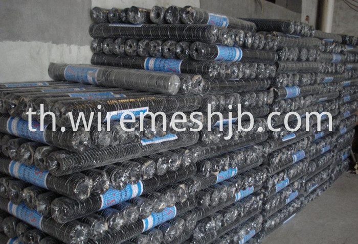 Galvanized Hexagonal Wire Netting